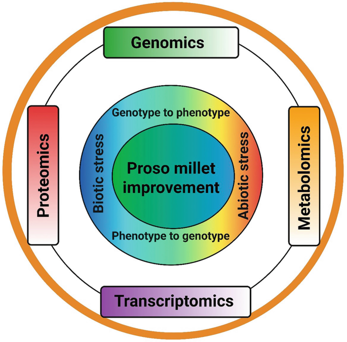 Proso Millet | SpringerLink