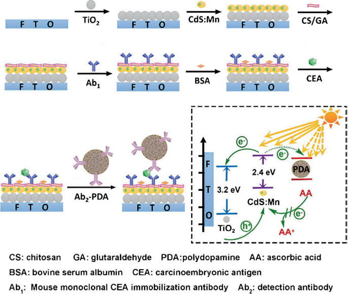 Ab2 Key Bio-inspired Nanocomposites Based on Biological Macromolecules for ...