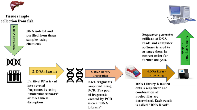 Genomics in Fisheries and Aquaculture | Springer Nature Link