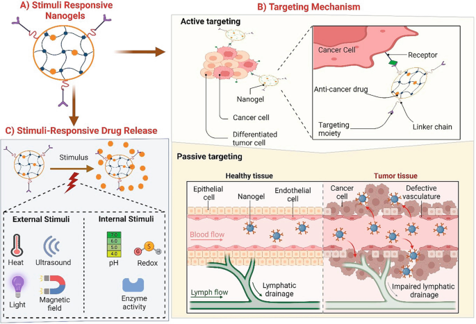 Stimuli-Responsive Nanogels for Cancer Therapy | Springer Nature Link