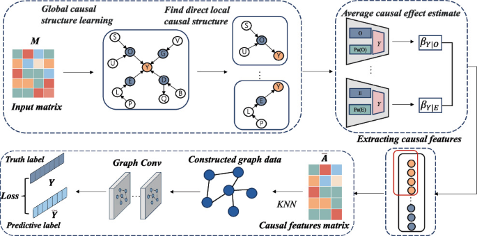 Interpretable Causal Feature Selection with GCN for Early Diagnosis of ...