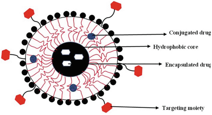 Intelligent Delivery: Adaptive Nanocarriers for Controlled Breast ...