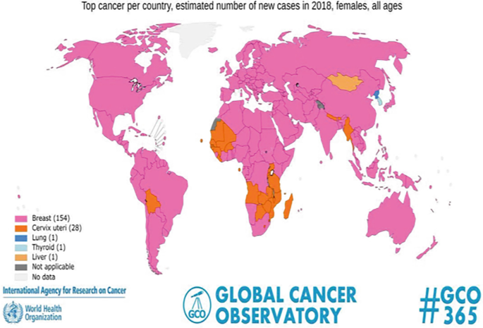 Breast Cancer Basics: Understanding the Disease and Its Challenges ...