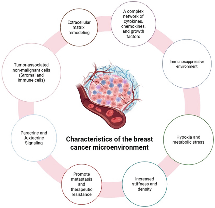 Role of Tumor Microenvironment in Metastatic Breast Cancer | Springer ...