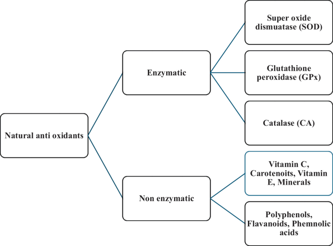 glutathione classification An Overview of Natural Antioxidant Pharmacodynamics and Pharmacokinetics