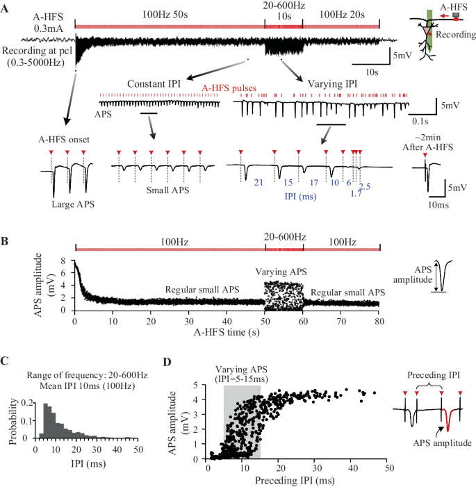 Neuronal Responses to Axonal HFS with Time-Varying Parameters ...