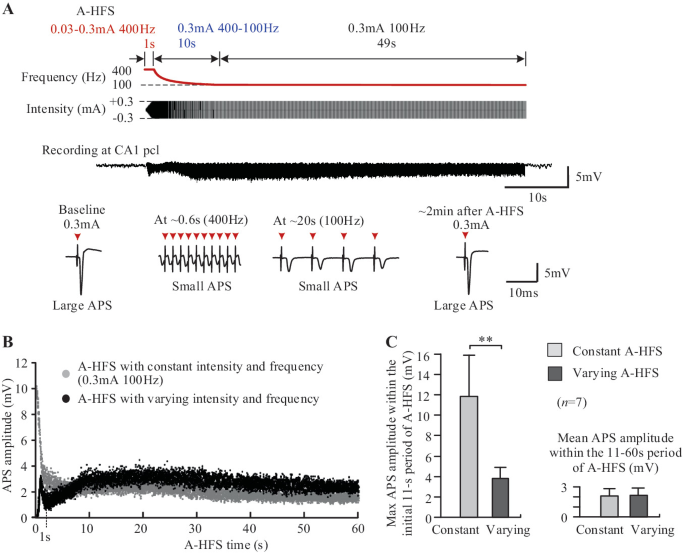 Neuronal Responses to Axonal HFS with Time-Varying Parameters ...