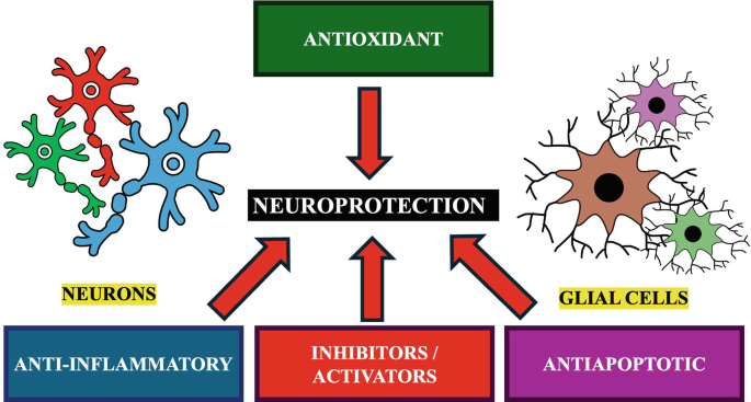 Exploring Active Natural Compounds with Neuroprotective Effects Across ...