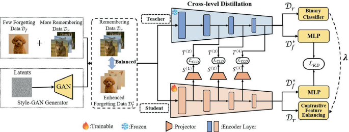 Cross-level Distillation Based Machine Unlearning with Contrastive ...
