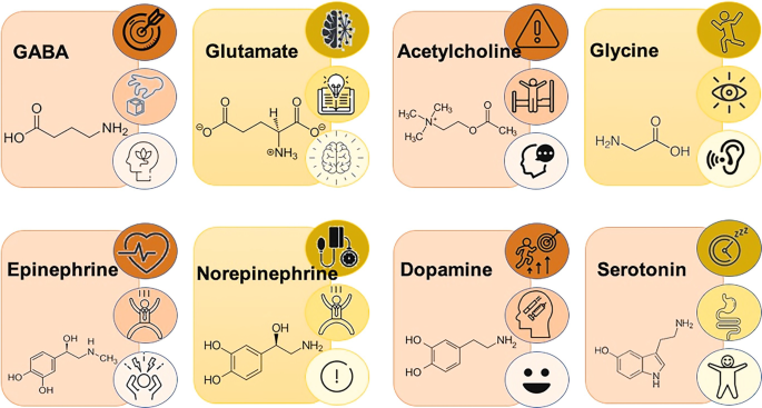 Mitochondrial Health and Critical Neurotransmitters in ...