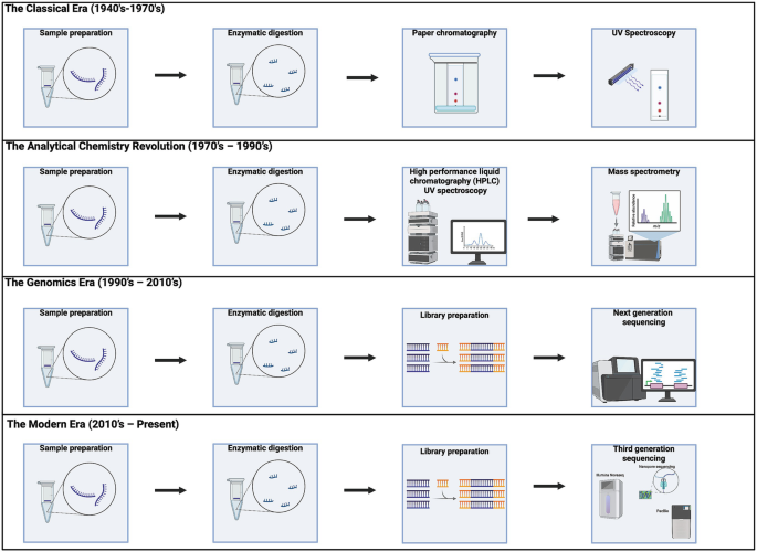 Mapping and Interpreting RNA Modifications | Springer Nature Link