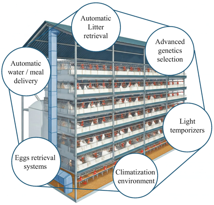 Ifa Poultry Developer Challenges and Opportunities for AI and IoT Technology in Contemporary ...