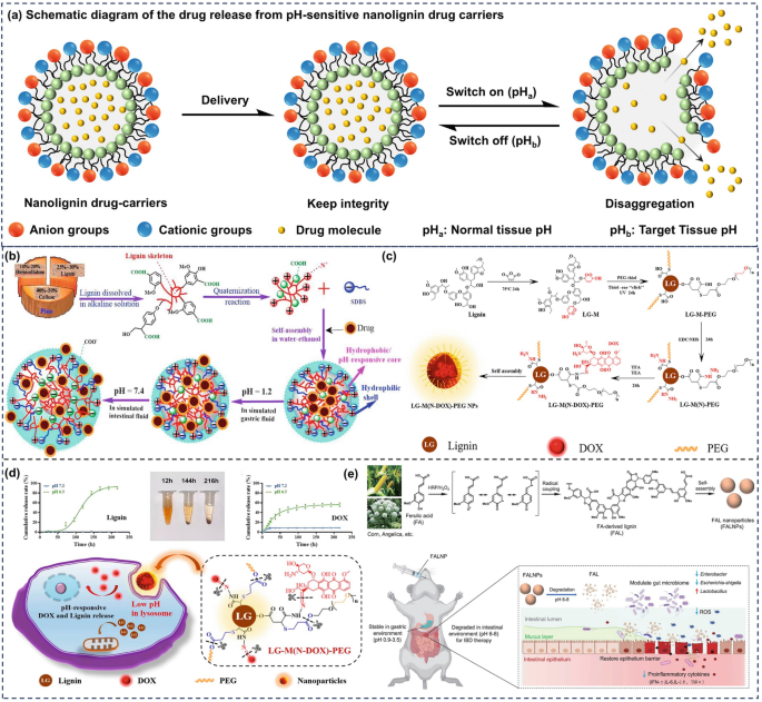Nanolignin: A Natural Drug Delivery System