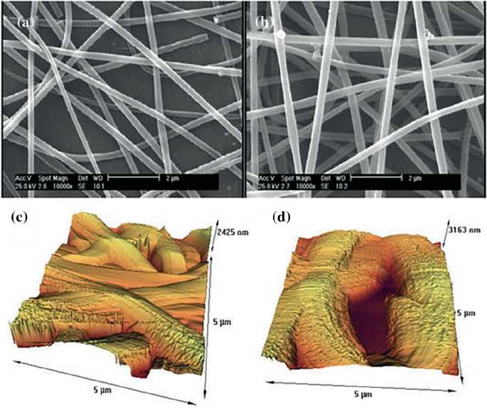 Nanofiber Applications in Tissue Engineering | Springer Nature Link ...