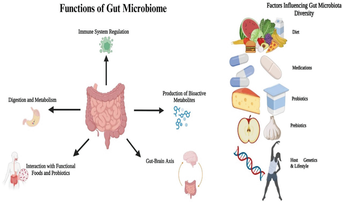 Exploring the Role of Gut Microbiota in Diabetes and Colorectal Cancer ...