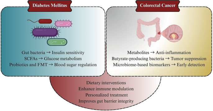 Exploring the Role of Gut Microbiota in Diabetes and Colorectal Cancer ...