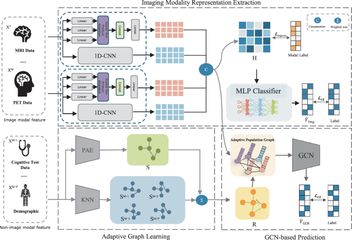 Adaptive Multimodal Fusion for Graph Learning in Brain Disease ...