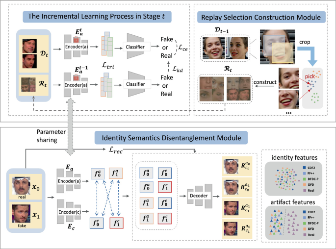 Identity-Agnostic Incremental Learning Framework for Face Forgery ...