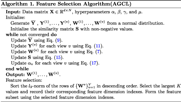Multi-view Unsupervised Feature Selection via Adaptive Graph and ...