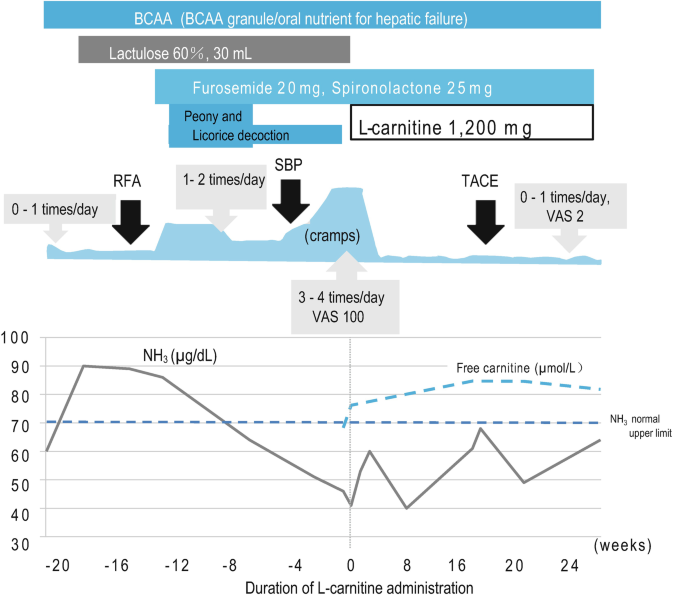 use of l carnitine for weight loss iSatori L-CARNITINE Fat Loss