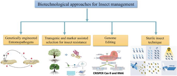 Eco-tech Strategies: Revolutionizing Forest Insect Pest Control Through ...