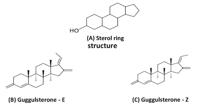 Guggulsterone Biosynthesis: Milestones, Prospects and Challenges