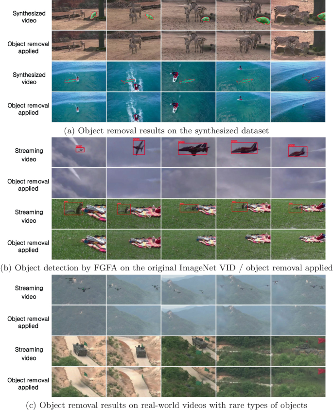 TOORNet: Training-Free Online Object Removal Network for Adversarial ...