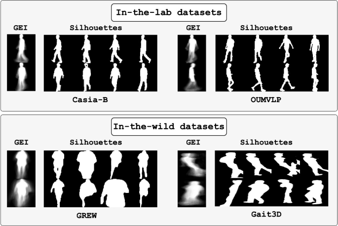 GaitW: Enhancing Gait Recognition in the Wild Using Dynamic Information ...
