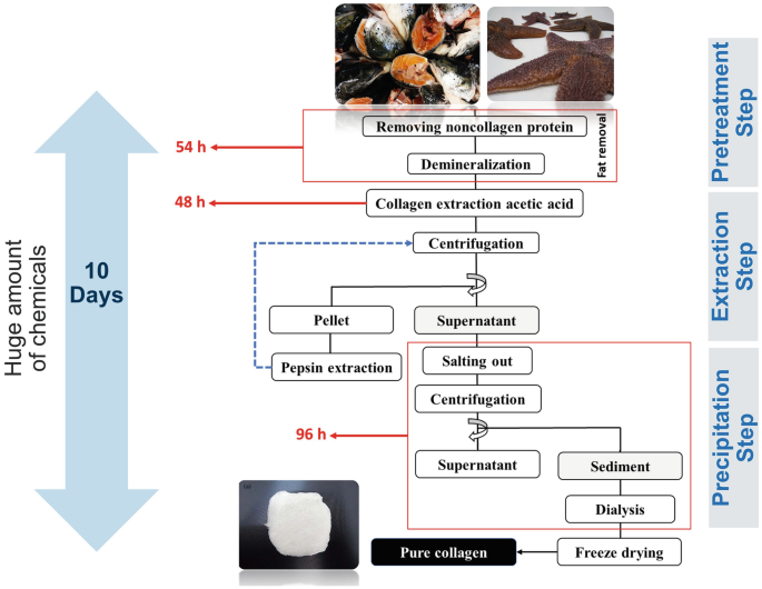 Marine Collagens and Novel Insights in Their Sustainable Extraction ...