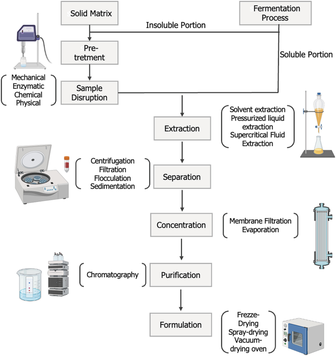 Biotechnology Strategies for Bioactive Compound Extraction | SpringerLink