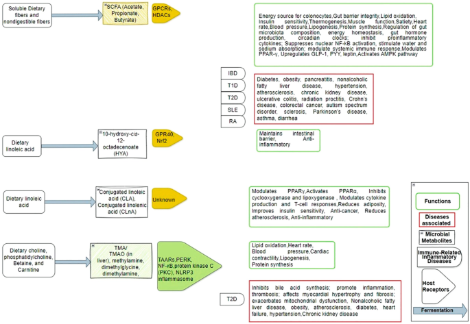 mitochondrial glutathione redox potential Glutathione redox potential distribution curves. The redox potential