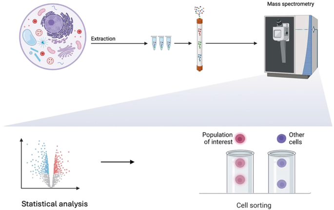Methods of Extraction, Detection, and Identification of Different ...