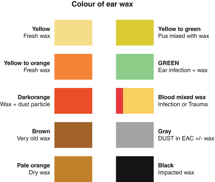 History and Examination of Ear | Springer Nature Link