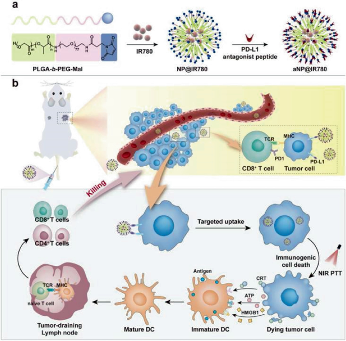 Peptide Nanomaterials for Cancer Therapy | SpringerLink