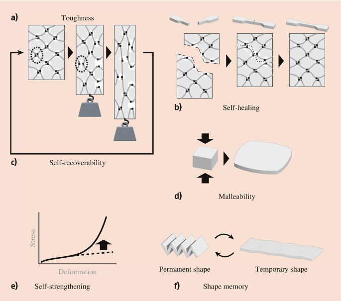 Dynamic Crosslinked Polymers | Springer Nature Link (formerly SpringerLink)