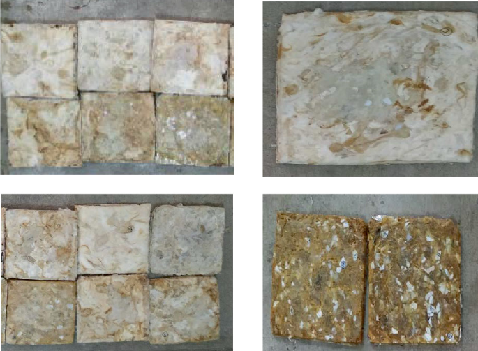 Development of Sustainable Composites from Recycled Pet Bottles ...