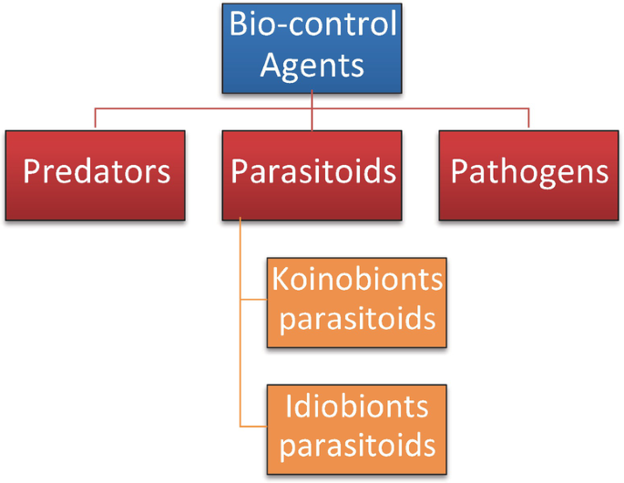 Types Bio Control Insects History, Diversity, and Community Dynamics of Biocontrol Agents ...
