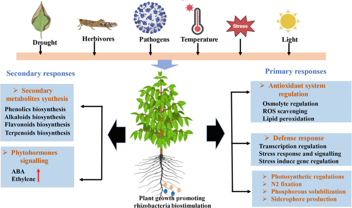 Secondary Metabolites in Plants: Role in Combating Environmental Stress ...