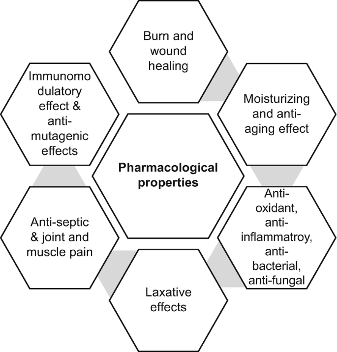 Medicinal Effects Health Benefits from Medicinal Plants | Springer Nature Link (formally ...