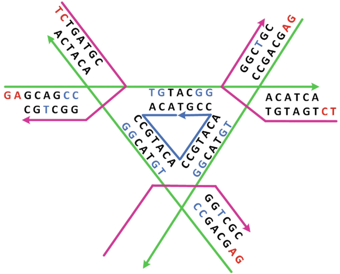 DNA Algorithmic Self-Assembly | SpringerLink