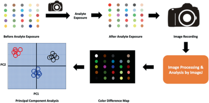 Substrates for Colorimetric Sensors Array | SpringerLink