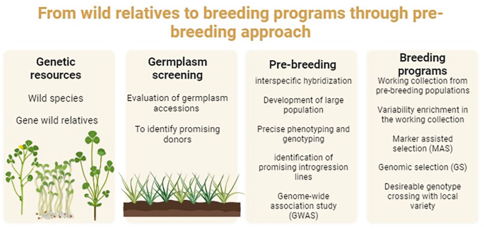 Biotechnology and Digital Revolution for Climate Smart Crops | Springer ...