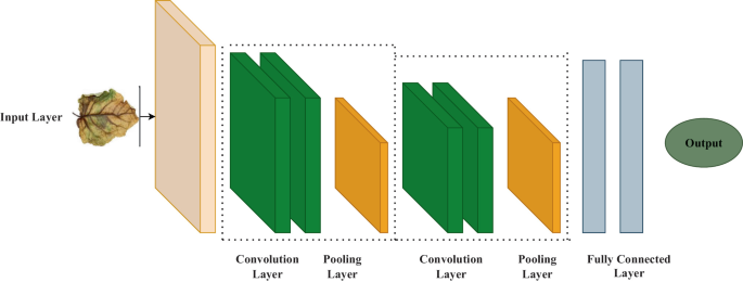 Impact of Deep Learning and Computer Vision on Plant Leaf Disease ...