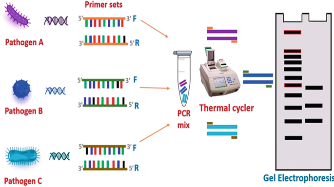 Sensing Techniques for Microbial Pathogens | SpringerLink