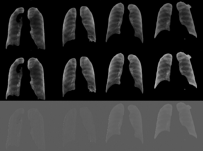 Explainability of CNN Classification Models Using CycleGAN and Their ...