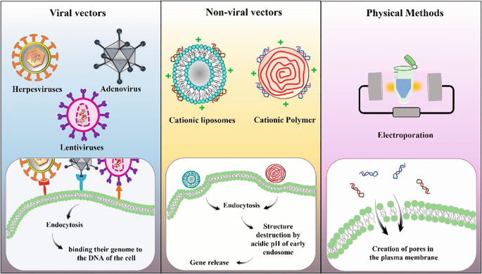 Gene Therapy of Cancer | SpringerLink