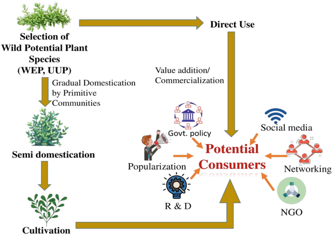 Plant Domestication, Centres of Origin and Diversity of Cultivated Plants |  Springer Nature Link