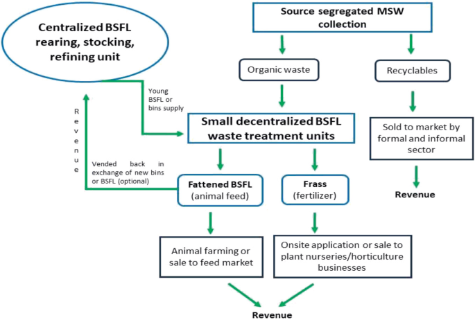 Creating Circular Economy of Waste Using Black Soldier Fly Larvae (BSFL ...