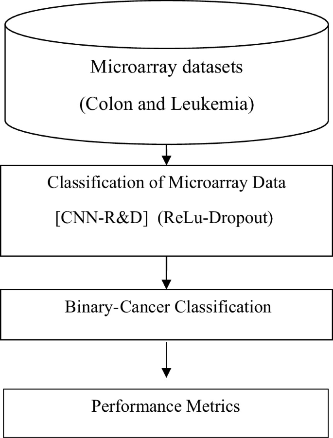 Microarray Cancer Classification Using Convolutional Neural Network ...