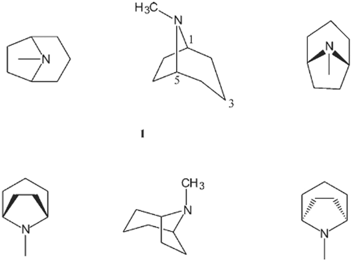Tropane Tropane Alkaloids: A Biologically Important Group of Nitrogen ...